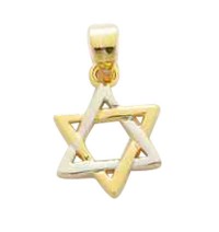 Gold Filled Mini Star of David Pendant